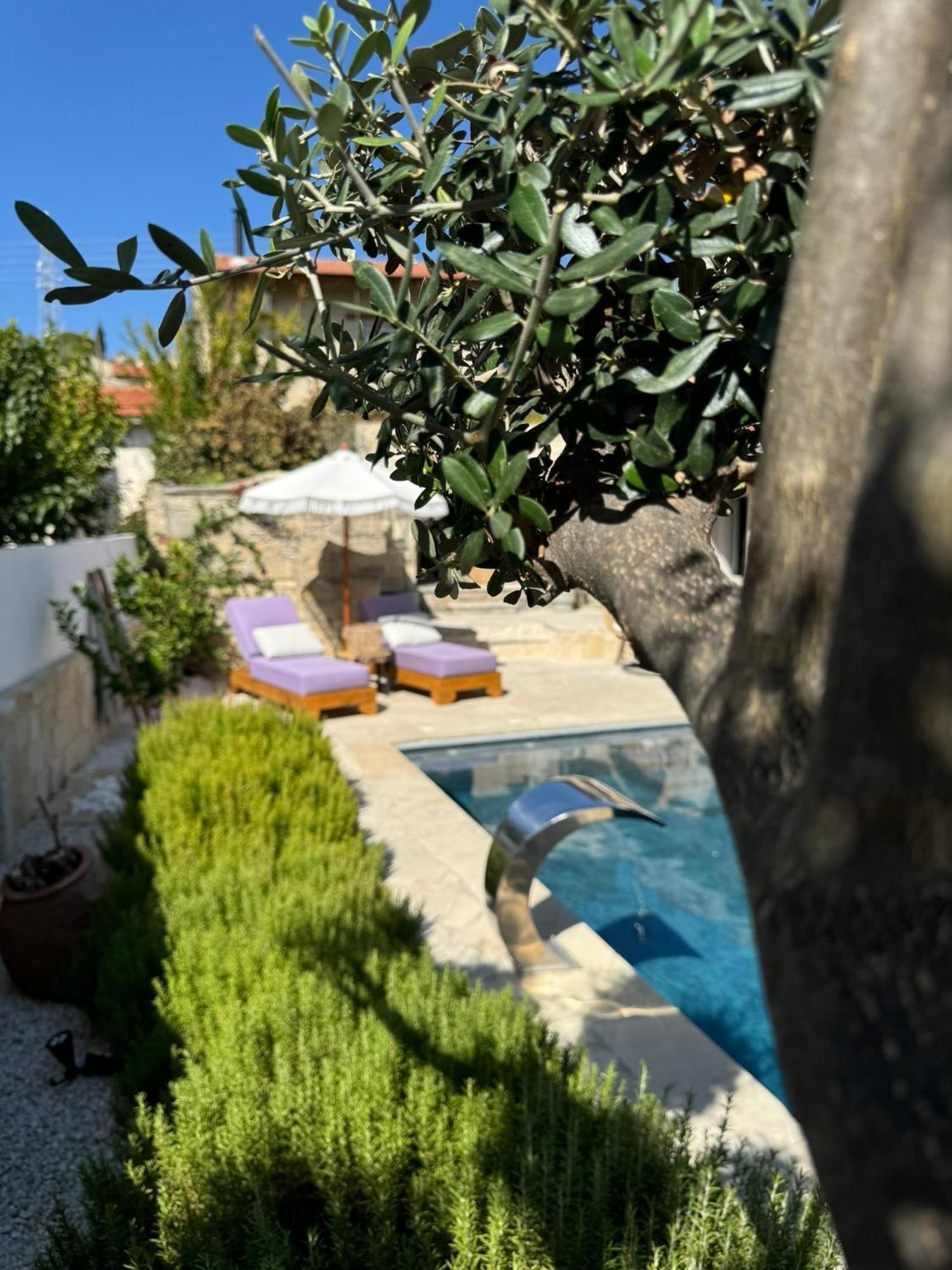 Fig&Olive Luxury One Bedroom Boutique In Pachna Limassol Exterior foto